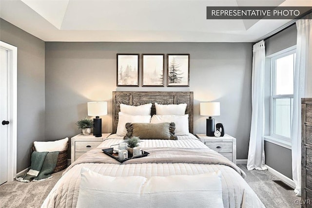 carpeted bedroom with a raised ceiling