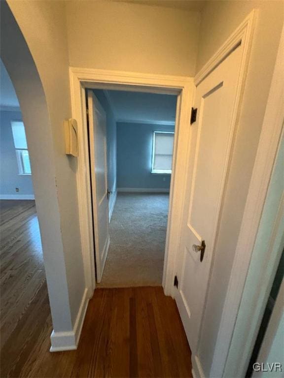 hall featuring dark hardwood / wood-style floors