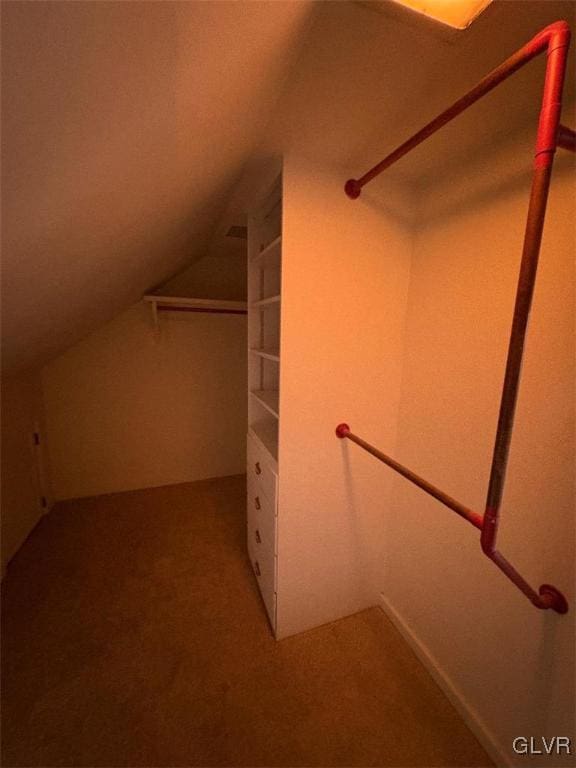 spacious closet featuring carpet floors and vaulted ceiling