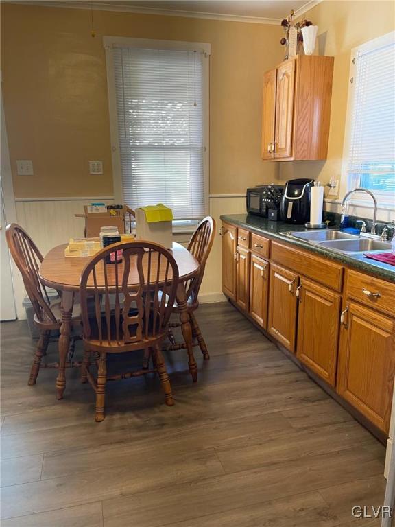 dining space featuring sink, crown molding, and dark wood-type flooring