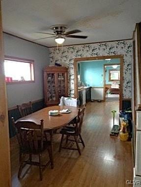 dining space featuring hardwood / wood-style flooring and ceiling fan