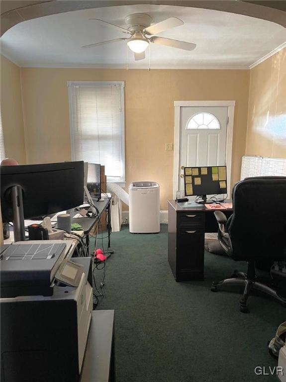 carpeted home office with plenty of natural light, ornamental molding, and ceiling fan