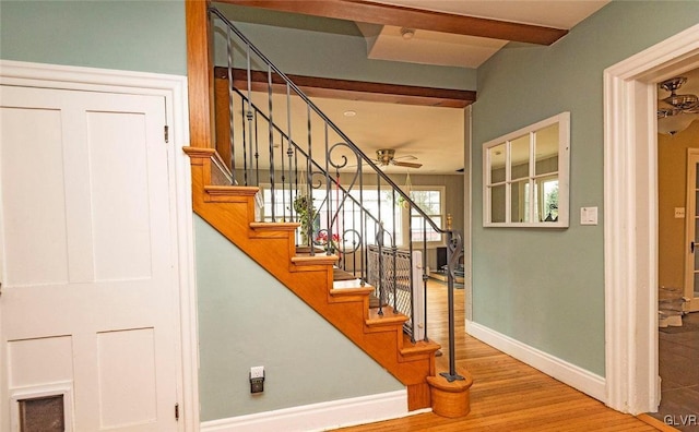 stairs with ceiling fan and wood-type flooring