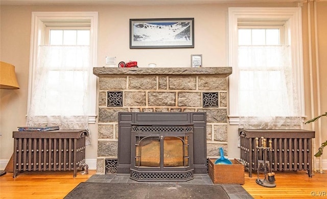 interior details featuring a wood stove and hardwood / wood-style floors