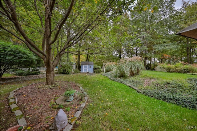 view of yard featuring a storage shed