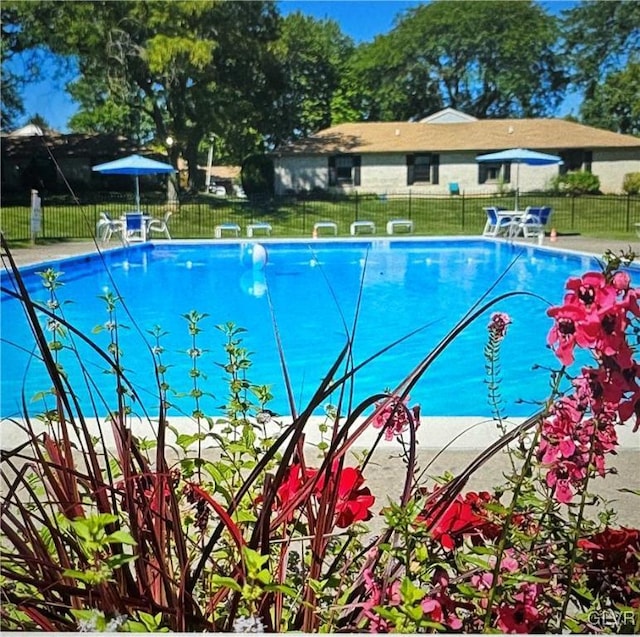 view of pool