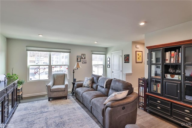 living room with wood-type flooring