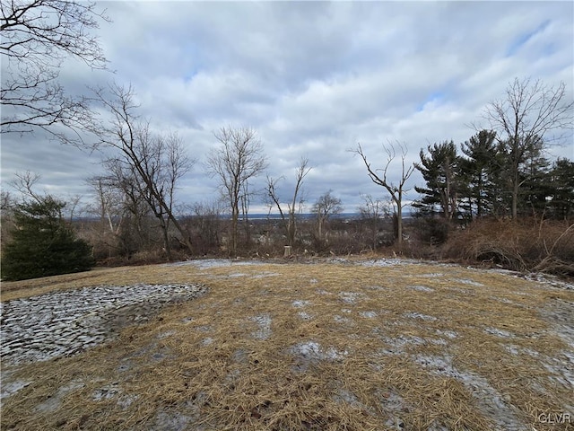 view of yard with a rural view