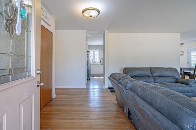 living room with hardwood / wood-style flooring and a healthy amount of sunlight