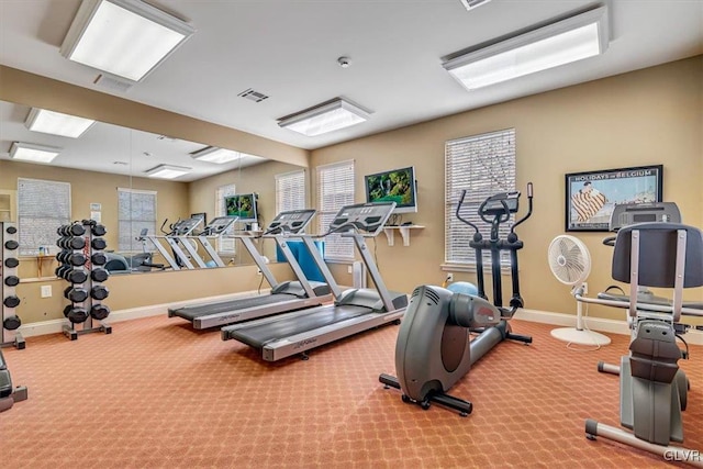 exercise room with carpet