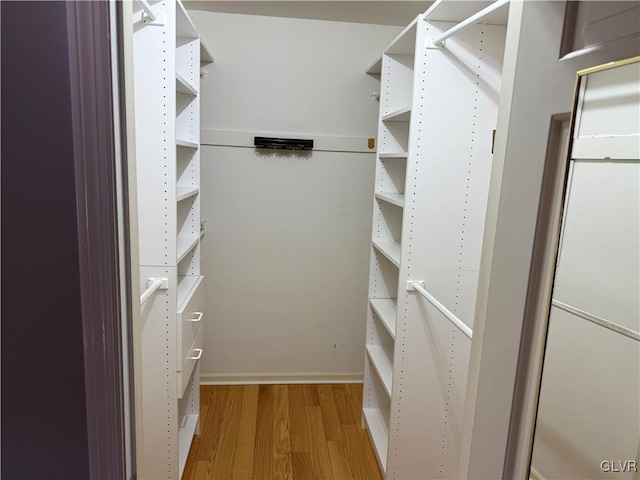 walk in closet featuring light wood-type flooring