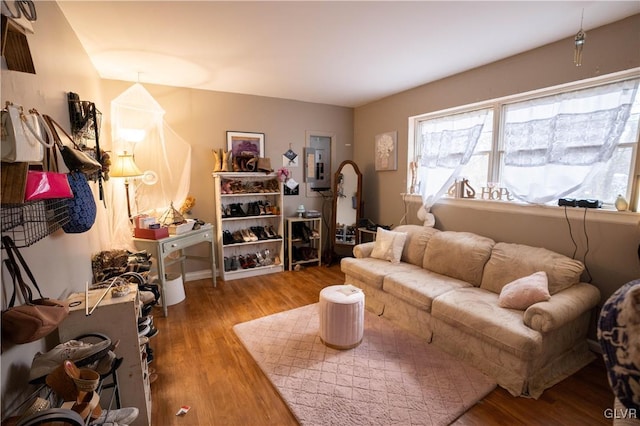 living room featuring hardwood / wood-style floors