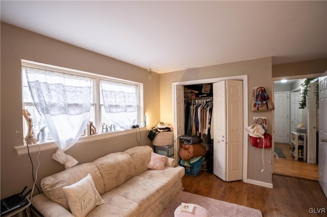 living room featuring hardwood / wood-style floors