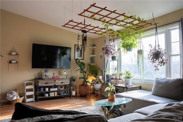 living room with hardwood / wood-style floors and plenty of natural light