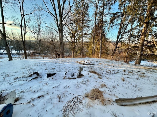 view of snowy yard