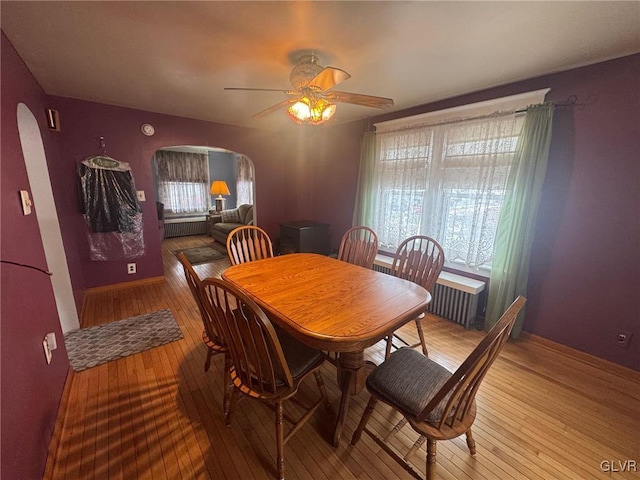 dining area with ceiling fan and light hardwood / wood-style flooring