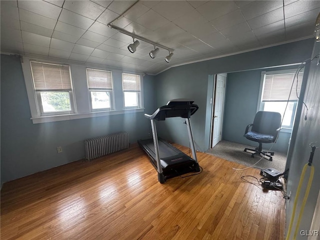 exercise area with lofted ceiling, a healthy amount of sunlight, radiator, and hardwood / wood-style floors