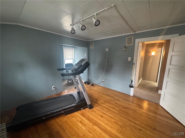 exercise room with hardwood / wood-style floors, crown molding, and track lighting