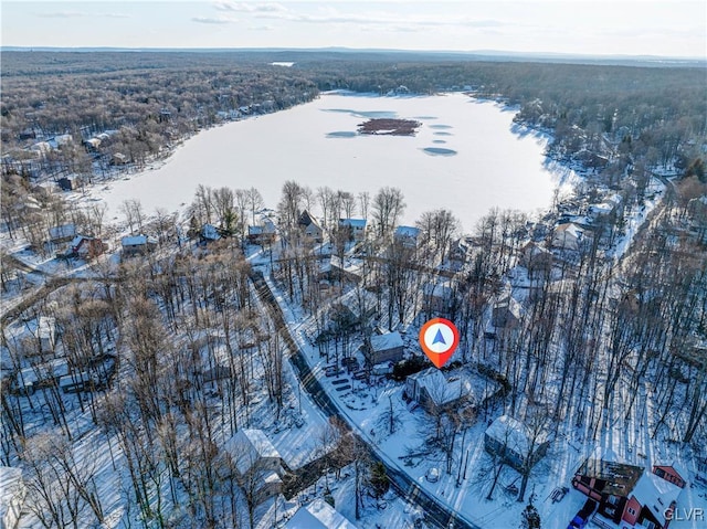 view of snowy aerial view