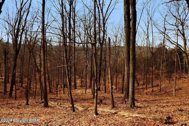 view of local wilderness