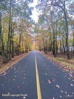 view of road