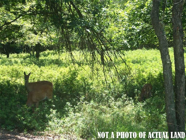 view of nature