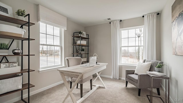 office space featuring plenty of natural light and light colored carpet