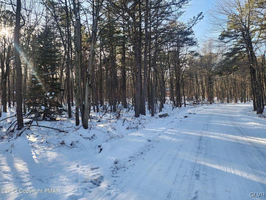 Masters Trl, Penn Forest Township, PA 18210 - photo 3