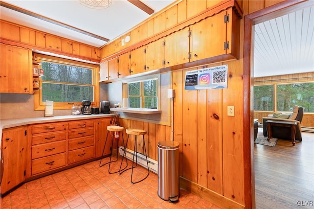 kitchen with wooden walls, a healthy amount of sunlight, and baseboard heating