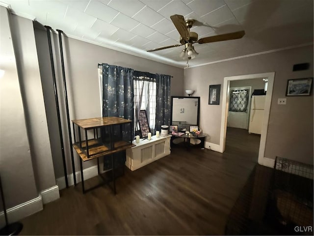 home office with ceiling fan, ornamental molding, and dark hardwood / wood-style floors