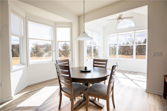 dining area featuring ceiling fan, lofted ceiling, and light wood-type flooring