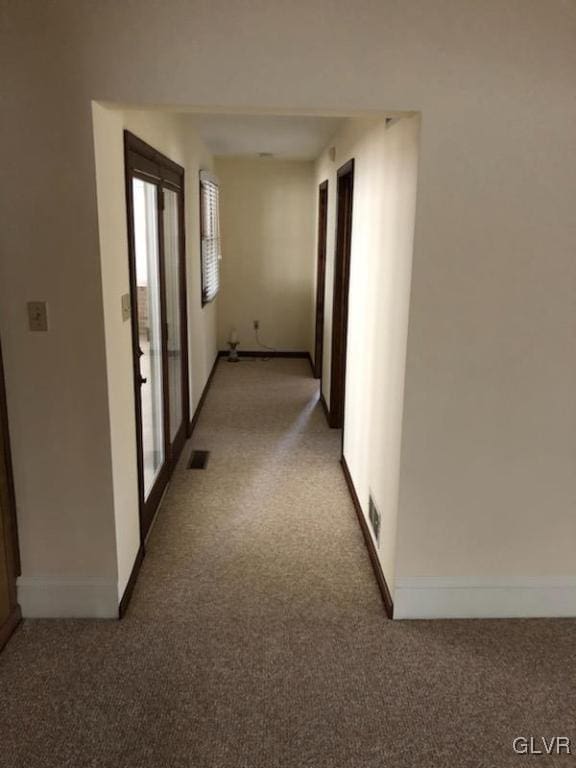 hall featuring carpet flooring