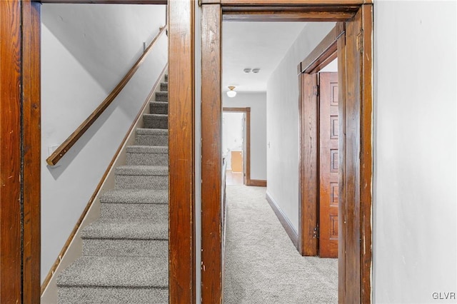 stairs with carpet flooring