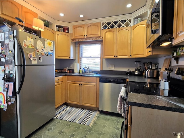 kitchen featuring sink, appliances with stainless steel finishes, and light brown cabinets