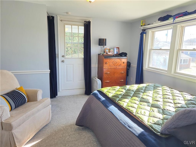 bedroom with multiple windows and carpet flooring