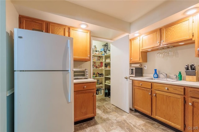 kitchen featuring sink and white refrigerator