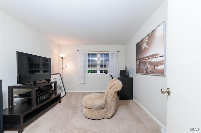 sitting room with carpet floors