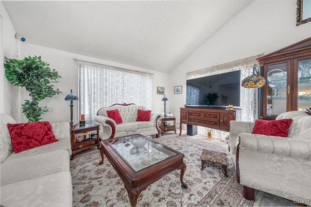 living room featuring lofted ceiling and a textured ceiling