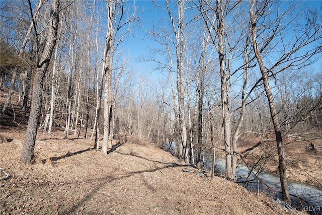 view of nature with a wooded view