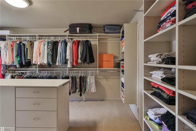 walk in closet featuring carpet floors