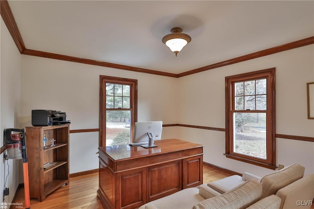 office with ornamental molding, light wood-type flooring, plenty of natural light, and baseboards