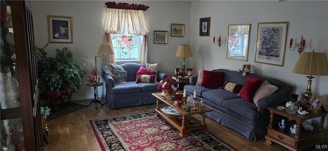 living room featuring wood finished floors