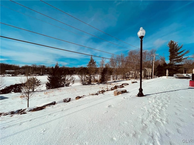 view of yard layered in snow