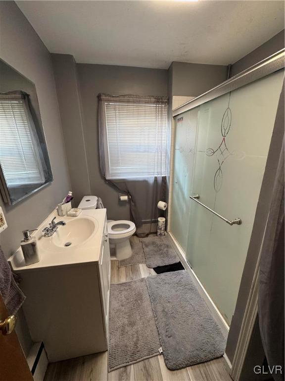 bathroom featuring toilet, a shower stall, vanity, and wood finished floors