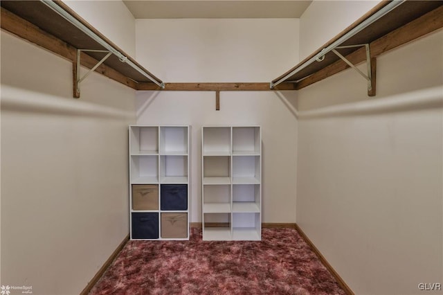 spacious closet with carpet