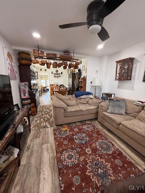 living area featuring ceiling fan and wood finished floors