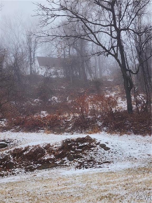 view of yard layered in snow