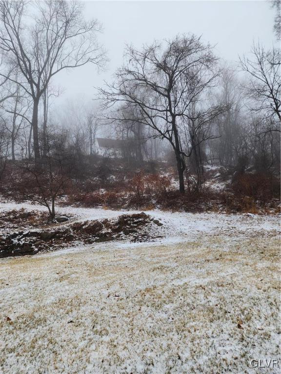 view of snowy yard