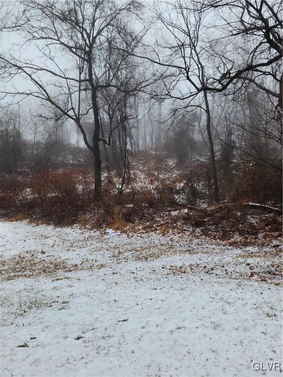 view of yard covered in snow