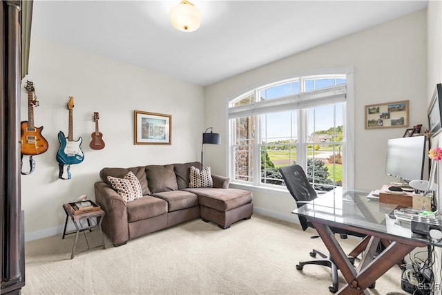 office space featuring carpet floors and baseboards